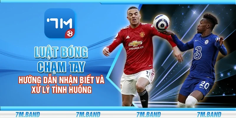 Luật bóng chạm tay – Hướng dẫn nhận biết và xử lý tình huống