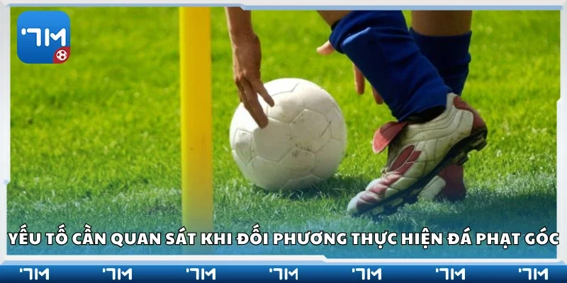 Các yếu tố cần quan sát trước khi đối phương thực hiện đá phạt góc