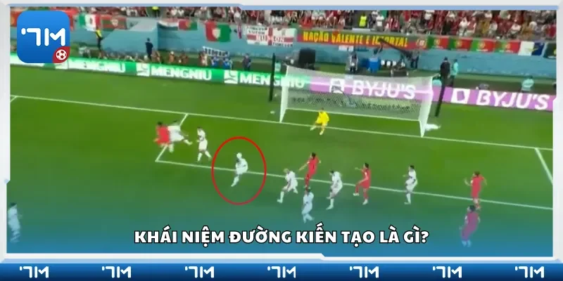 Khái niệm đường kiến tạo là gì?