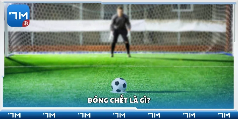 Thông tin sơ lược về bóng chết 