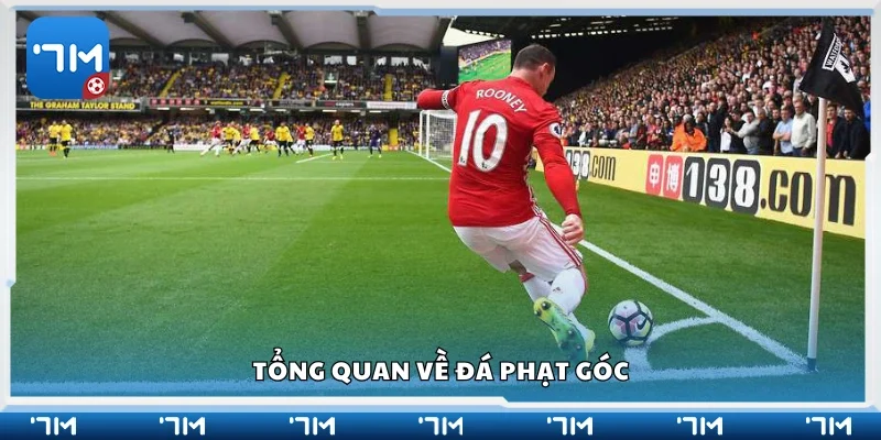 Tìm hiểu tổng quan về đá phạt góc