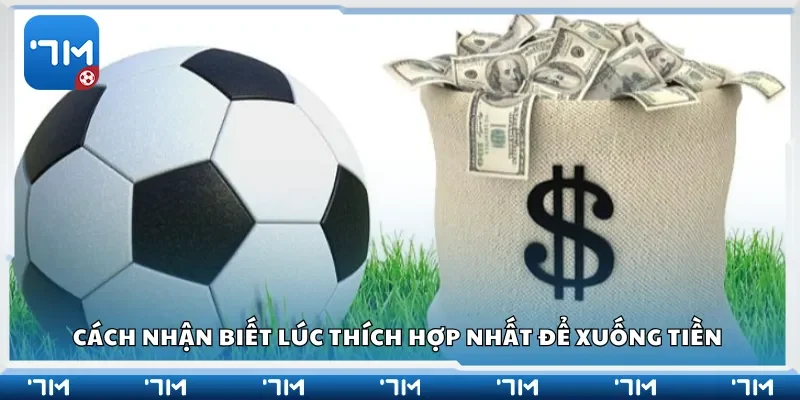 Cách nhận biết lúc thích hợp nhất để xuống tiền 