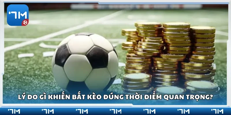 Lý do gì khiến bắt kèo đúng thời điểm quan trọng?