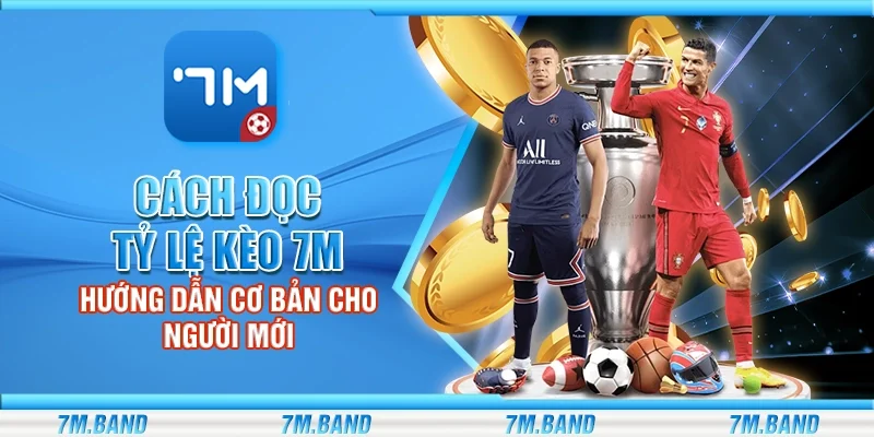 Cách đọc tỷ lệ kèo 7m – Hướng dẫn cơ bản cho người mới