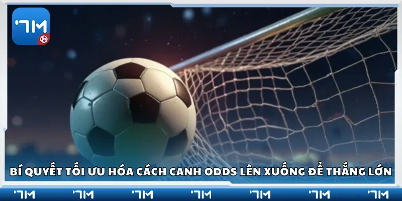 Bí quyết tối ưu hóa cách canh odds lên xuống để thắng lớn
