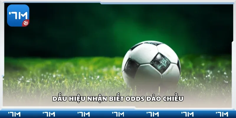 Các dấu hiệu nhận biết odds đảo chiều