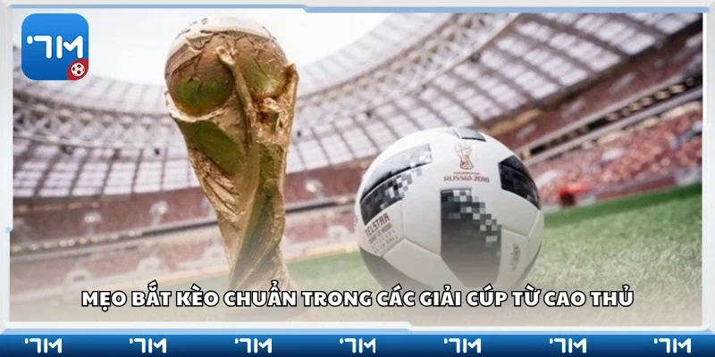 Các mẹo bắt kèo chuẩn trong các giải Cúp từ cao thủ