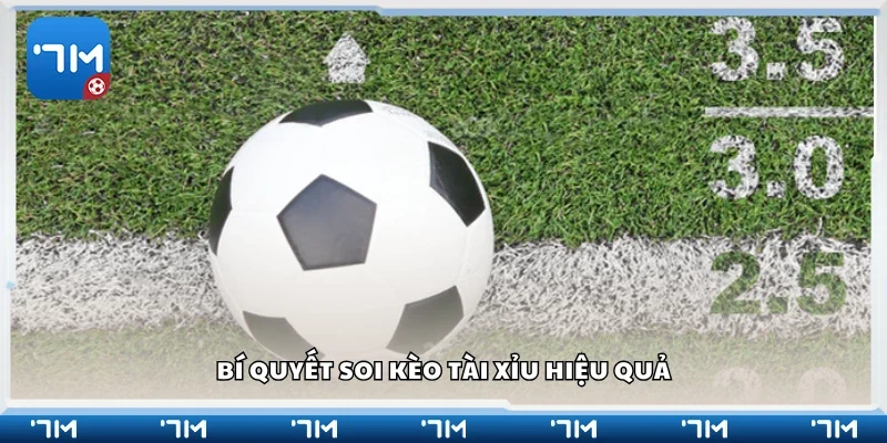 Chia sẻ bí quyết soi kèo tài xỉu hiệu quả