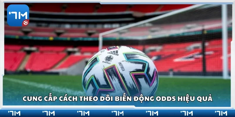 Cung cấp cách theo dõi biến động odds hiệu quả