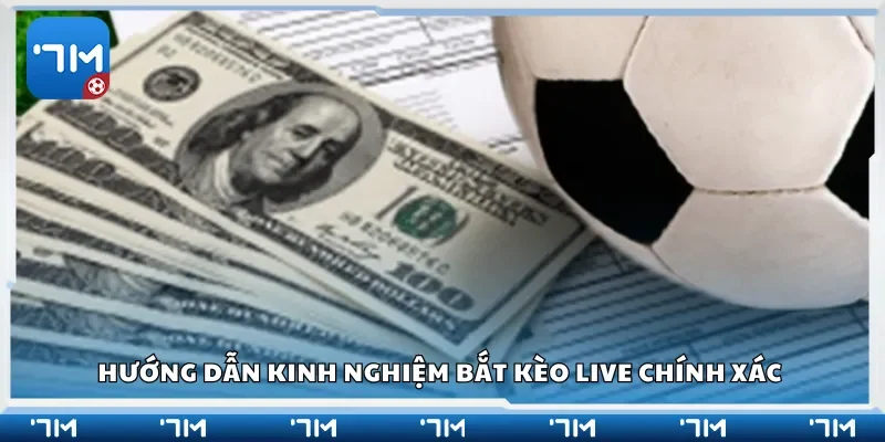 Hướng dẫn kinh nghiệm bắt kèo live chính xác từ thực chiến