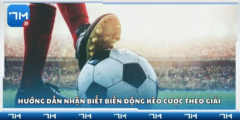Hướng dẫn nhận biết biến động kèo cược theo giải