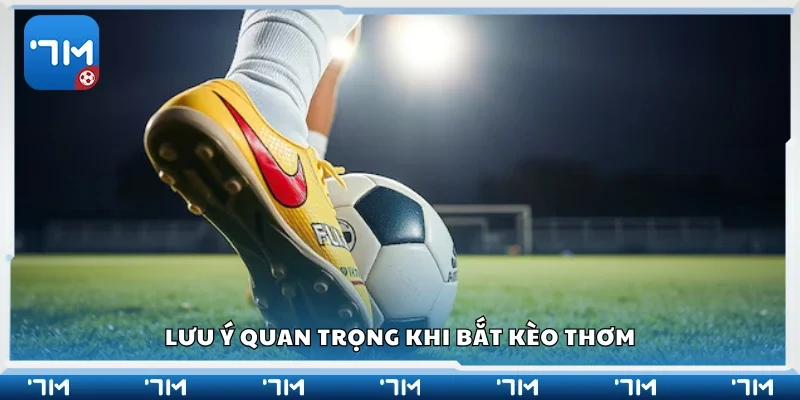 Một số lưu ý quan trọng khi bắt kèo thơm