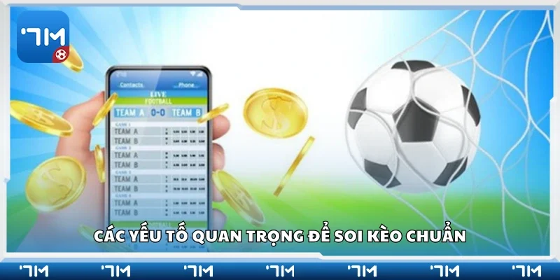 Một số yếu tố quan trọng để soi kèo chuẩn