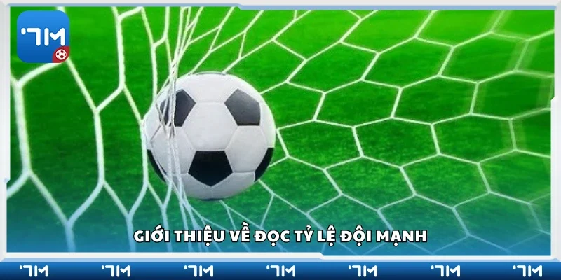 Sơ lược về đọc tỷ lệ đội mạnh