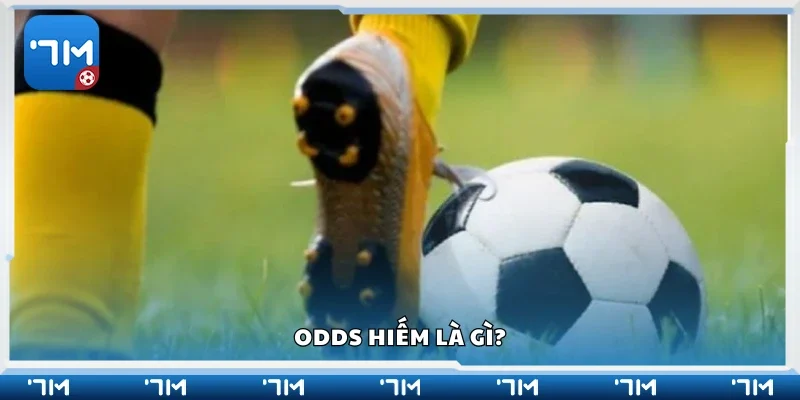 Tìm hiểu khái niệm Odds hiếm 