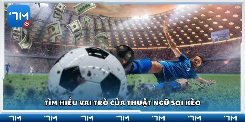 Tìm hiểu vai trò của thuật ngữ soi kèo