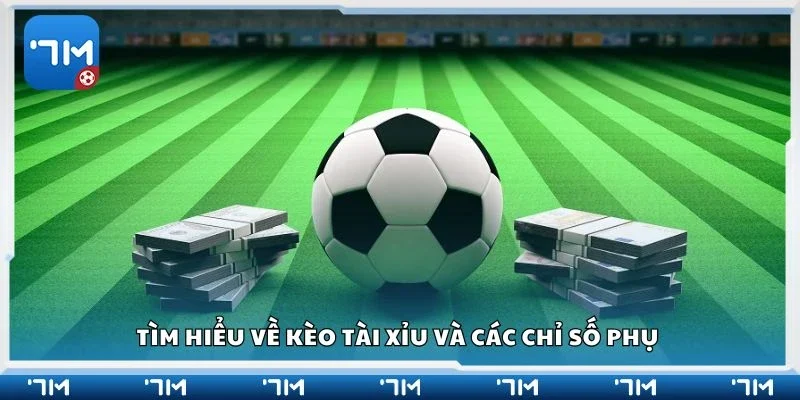 Tìm hiểu về kèo tài xỉu và các chỉ số phụ 