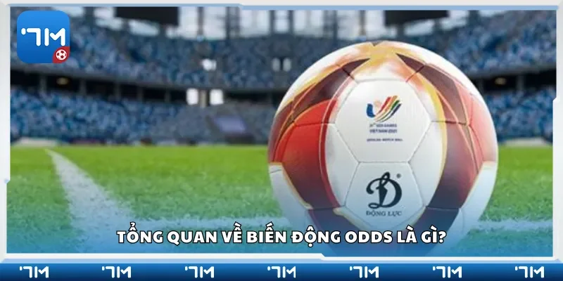 Tổng quan về biến động odds là gì?