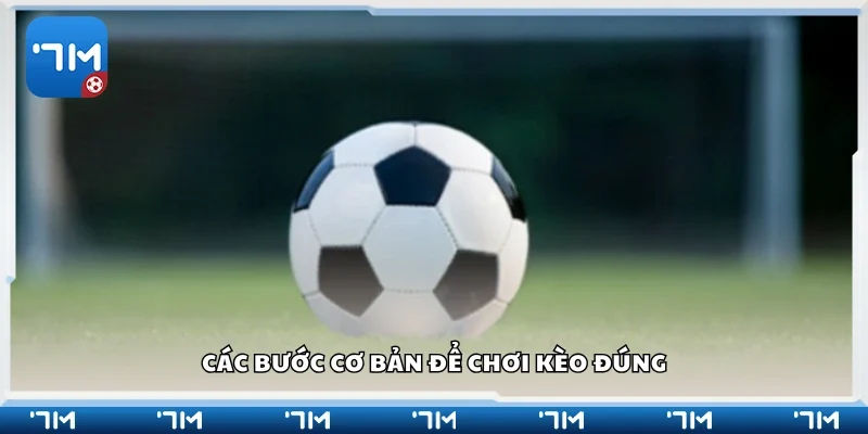 Vài bước cơ bản để chơi kèo đúng