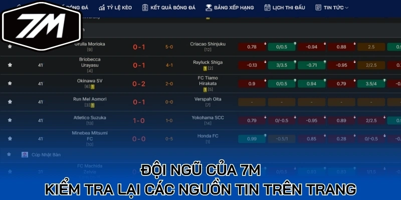 Đội ngũ của 7M kiểm tra lại các nguồn tin trên trang