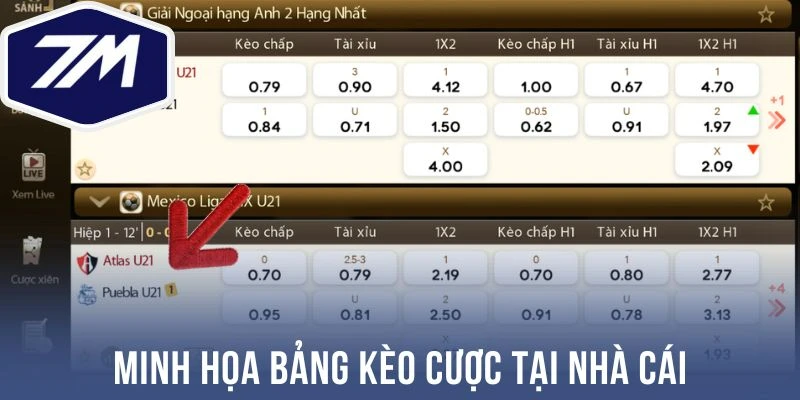 Minh họa bảng kèo cược tại nhà cái