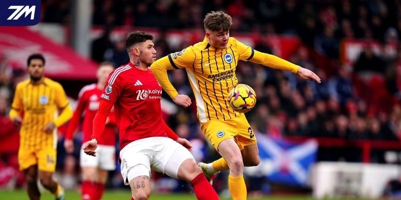Đánh giá phong độ Brighton vs Nottingham