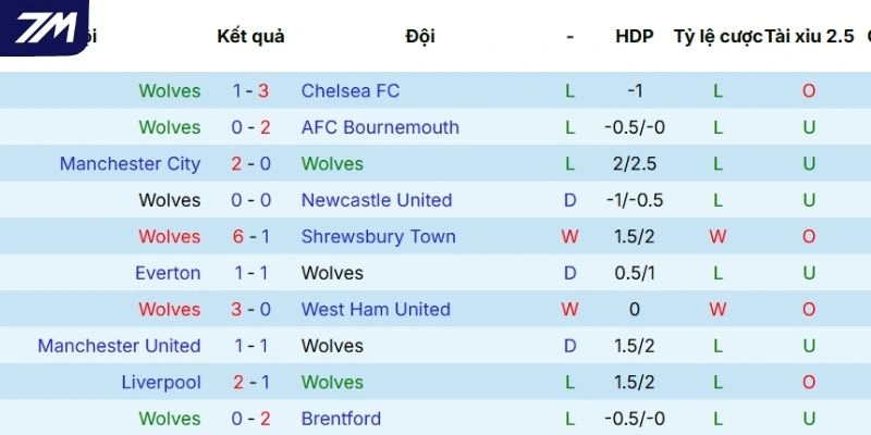 Kết quả những lần ra sân gần nhất của Wolves
